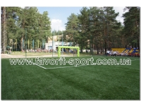 Футбольное поле детский лагерь Перлина Донеччини г.Святогорск искусственная трава Lesmo