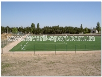 Футбольное поле ФК Крымтеплица г.Симферополь искусственная трава Stadium