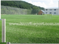 Футбольное поле с искусственной травой п.Поляна (Закарпатье)
