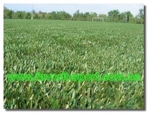 Искусственная трава Double T (технология производства)